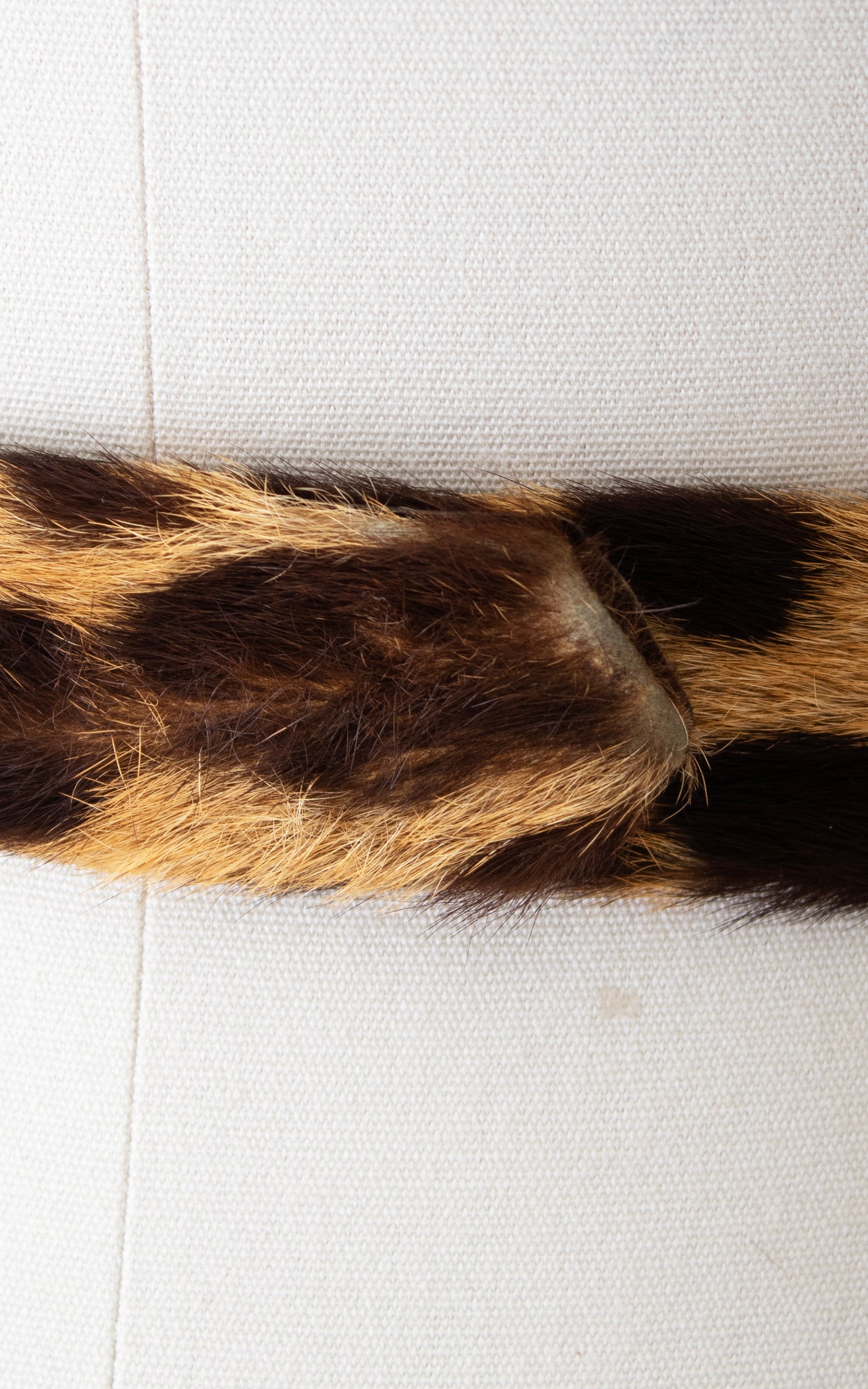 1950s Leopard Print Horse Hair Cinch Belt | medium