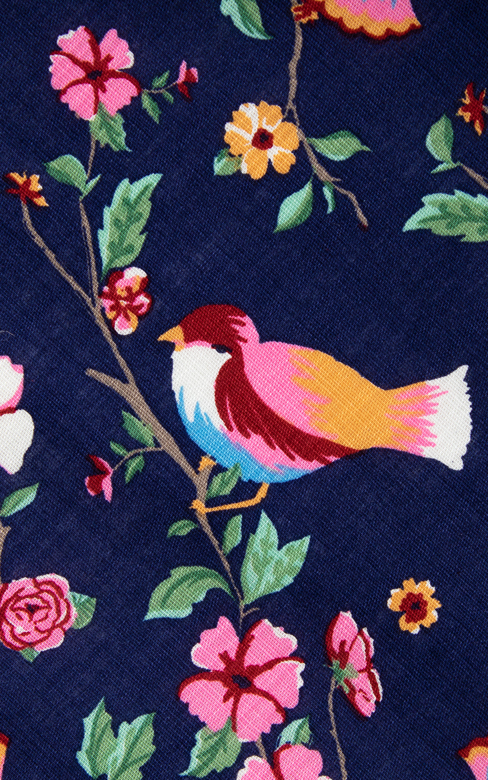 Modern 1950s Style COLLECTIF Bird Floral Cotton Dress | small/medium